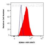 URAT1 Antibody in Flow Cytometry (Flow)