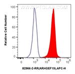 ARHGEF19 Antibody in Flow Cytometry (Flow)