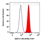 AIFM2/FSP1 Antibody in Flow Cytometry (Flow)