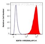 RAN Antibody in Flow Cytometry (Flow)