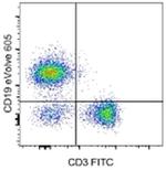 CD19 Antibody in Flow Cytometry (Flow)