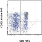 CD62L (L-Selectin) Antibody in Flow Cytometry (Flow)