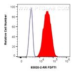FDFT1 Antibody in Flow Cytometry (Flow)