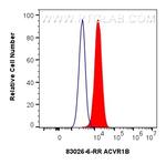 ACVR1B Antibody in Flow Cytometry (Flow)