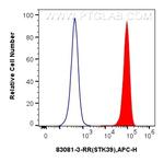 STK39 Antibody in Flow Cytometry (Flow)
