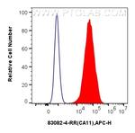 CA11 Antibody in Flow Cytometry (Flow)