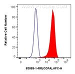 COPA Antibody in Flow Cytometry (Flow)