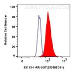 OGT Antibody in Flow Cytometry (Flow)