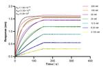 GRP94 Antibody in Surface plasmon resonance (SPR)