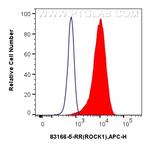 ROCK1 Antibody in Flow Cytometry (Flow)