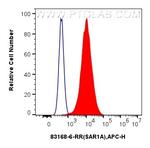 SAR1A Antibody in Flow Cytometry (Flow)