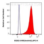Sestrin 2 Antibody in Flow Cytometry (Flow)