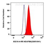 NDUFB8 Antibody in Flow Cytometry (Flow)