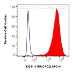 Glypican 2 Antibody in Flow Cytometry (Flow)