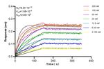APCDD1 Antibody in Surface plasmon resonance (SPR)