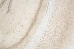 KCNJ15 Antibody in Immunohistochemistry (Paraffin) (IHC (P))
