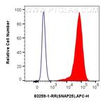SNAP25 Antibody in Flow Cytometry (Flow)