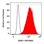 MAEA Antibody in Flow Cytometry (Flow)