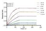 MAEA Antibody in Surface plasmon resonance (SPR)