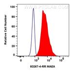 MAEA Antibody in Flow Cytometry (Flow)