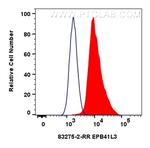 EPB41L3 Antibody in Flow Cytometry (Flow)