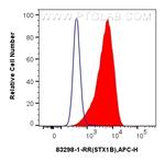 STX1B Antibody in Flow Cytometry (Flow)