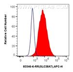 SLC38A7 Antibody in Flow Cytometry (Flow)