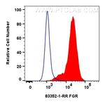 FGR Antibody in Flow Cytometry (Flow)