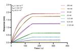 RBM20 Antibody in Surface plasmon resonance (SPR)