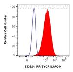 SYCP1 Antibody in Flow Cytometry (Flow)