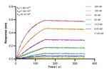 CD28 Antibody in Surface plasmon resonance (SPR)