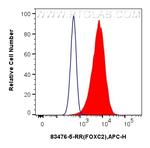 FOXC2 Antibody in Flow Cytometry (Flow)
