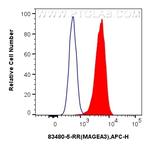 MAGEA3 Antibody in Flow Cytometry (Flow)