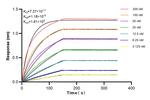 MAGEA3 Antibody in Surface plasmon resonance (SPR)