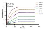 C6orf130 Antibody in Surface plasmon resonance (SPR)