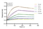 Apolipoprotein AI Antibody in Surface plasmon resonance (SPR)