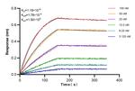 S100A9 Antibody in Surface plasmon resonance (SPR)