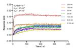LUC7L Antibody in Surface plasmon resonance (SPR)