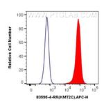 KMT2C Antibody in Flow Cytometry (Flow)