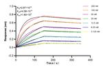 KMT2C Antibody in Surface plasmon resonance (SPR)