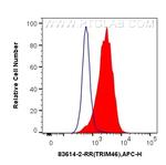TRIM46 Antibody in Flow Cytometry (Flow)