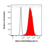 TRIM46 Antibody in Flow Cytometry (Flow)