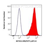 POT1 Antibody in Flow Cytometry (Flow)