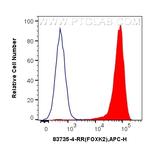 FOXK2 Antibody in Flow Cytometry (Flow)