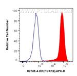 FOXK2 Antibody in Flow Cytometry (Flow)