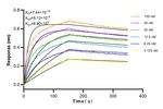 CX3CL1 Antibody in Surface plasmon resonance (SPR)