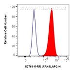 PAK4 Antibody in Flow Cytometry (Flow)