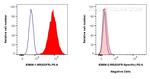 EGFR Antibody in Flow Cytometry (Flow)