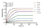 FXYD2 Antibody in Surface plasmon resonance (SPR)