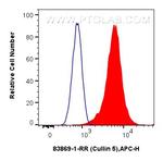 Cullin 5 Antibody in Flow Cytometry (Flow)